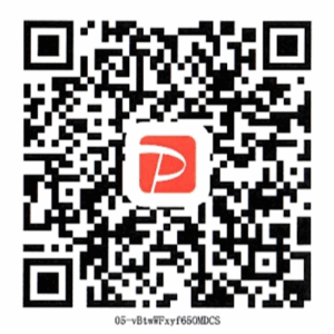 PayPayQRカード
